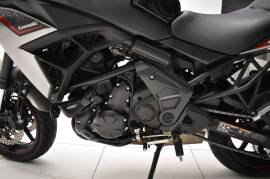Kawasaki Versys 650