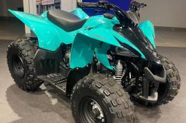 Yamaha YFM 50