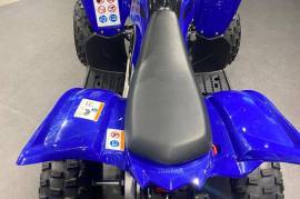 Yamaha YFM 110