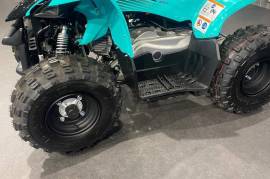 Yamaha YFM 50
