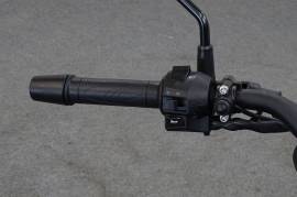 Otros  Otros  QJ MOTOR TRX 125