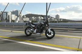 BMW F900R