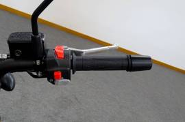 Otros  Otros  QJ MOTOR SRV 300